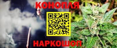 шишки Бердск