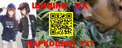 шишки Бердск