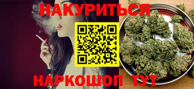 шишки Бердск