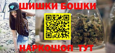 шишки Бердск